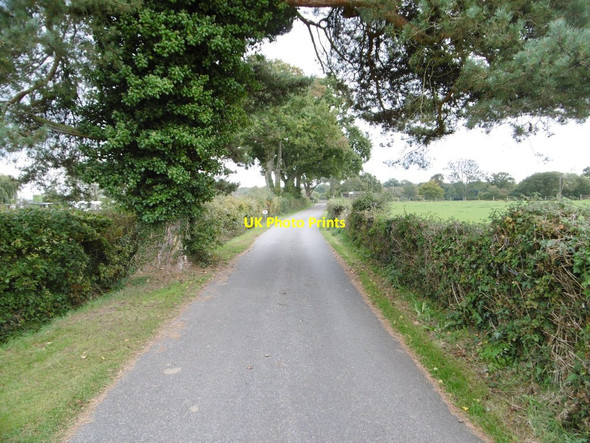 Photo 6"x4" Copythorne, access road Stonyford\/SU3215 c2015