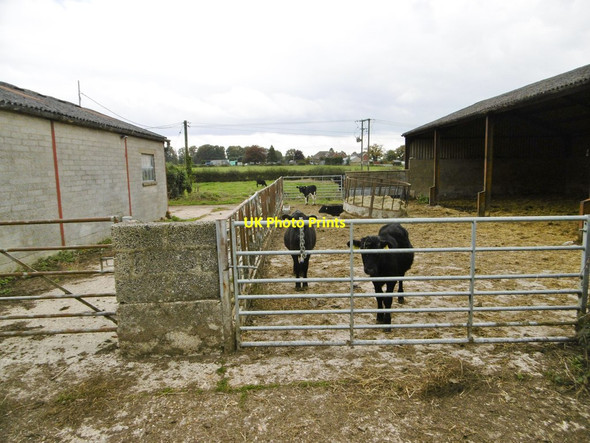 Photo 6"x4" Copythorne, Stonyford Stonyford\/SU3215 c2015