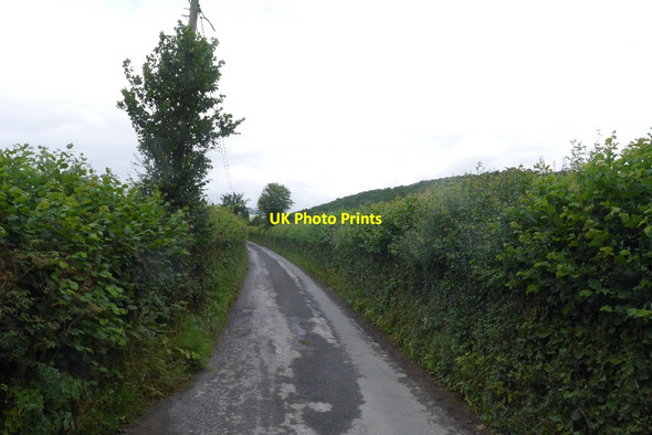 Photo 6"x4" Stapleton to Kinsham Road Presteigne\/Llanandras c2015