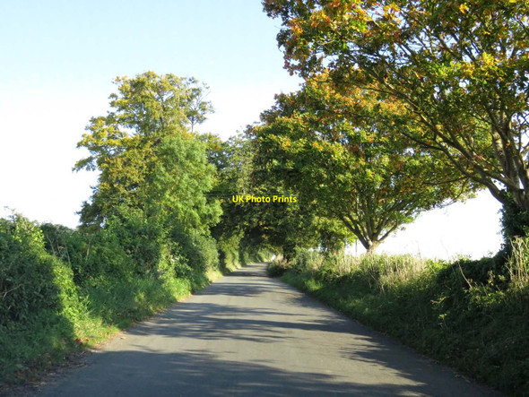Photo 6"x4" The road to Brightwalton Brightwalton c2015