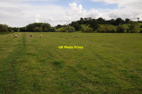 Photo 6"x4" Meadowland below Apperley Apperley\/SO8628 c2015