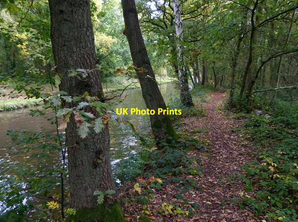 Photo 6"x4" Footpath along the edge of the Trent & Mersey Canal Fradley Junction c2015