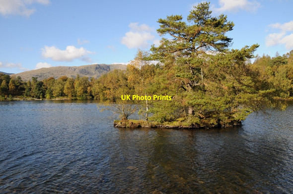 Photo 6"x4" Island at Tarn Hows Hawkshead Hill c2015