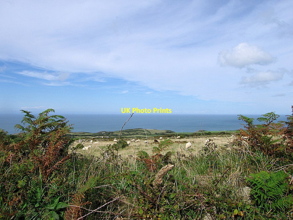Photo 6"x4" Strumble Head Pontiago c2015