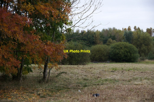 Photo 6"x4" Rimrose Valley Country Park Litherland c2015