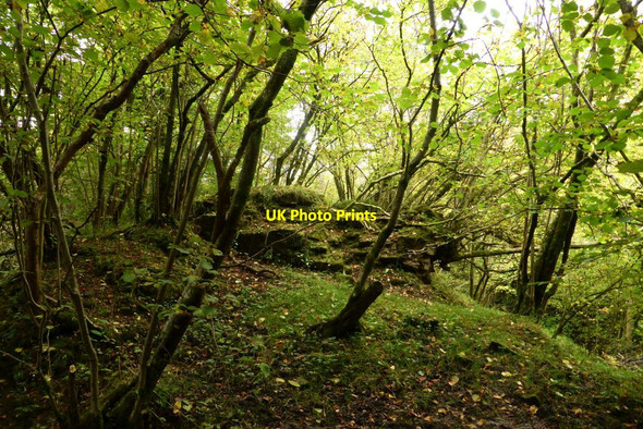 Photo 6"x4" Plotcock Castle (ruin) Quarter\/NS7251 c2015