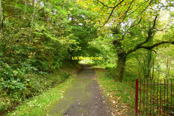 Photo 6"x4" Morgan Glen, Millheugh Larkhall\/NS7650 c2015