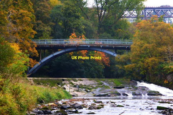 Photo 6"x4" Avon Water at Millheugh [2] Larkhall\/NS7650 c2015