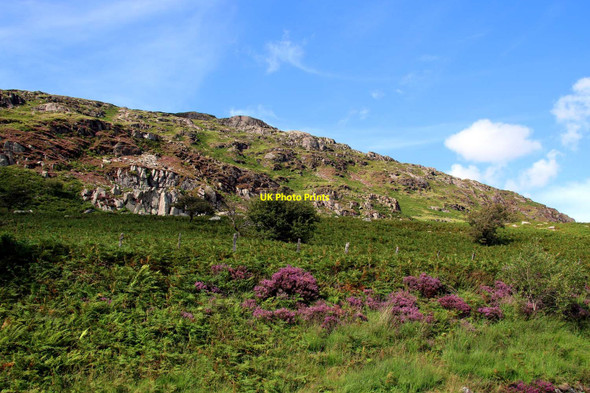 Photo 6"x4" Hillside above the A4086 Capel Curig c2015
