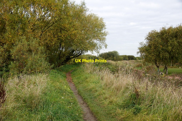 Photo 6"x4" Sefton Coastal Path crossing Hesketh Golf Course, Marshside Southport c2015