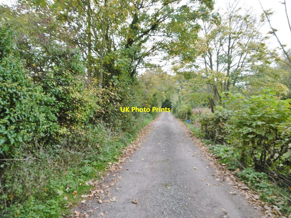 Photo 6"x4" Nursling, Church Lane Hillstreet\/SU3416 c2015