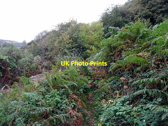 Photo 6"x4" Gate on the Welsh Coast path Bwlch\/SH5705 c2015