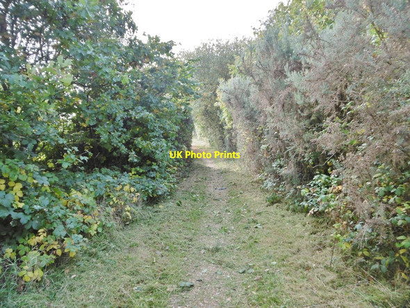 Photo 6"x4" Calmore, bridleway Totton c2015