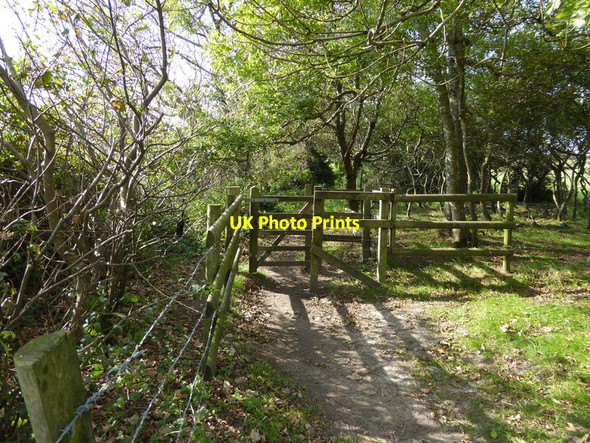 Photo 6"x4" Gateway on footpath on West Cliff Niton c2015