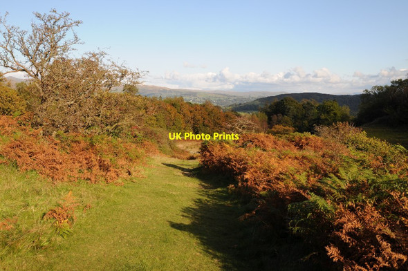 Photo 6"x4" Footpath near Sawrey Ground Hawkshead Hill c2015