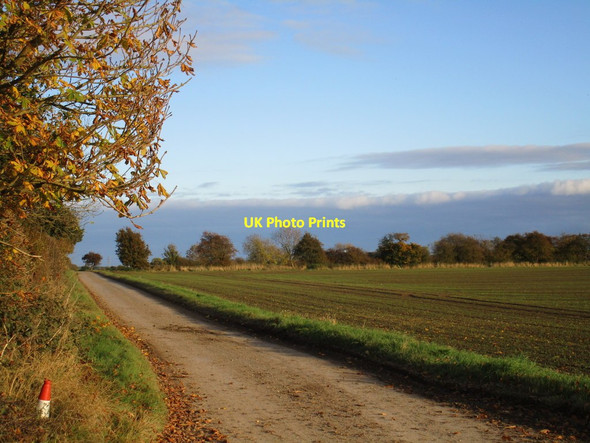 Photo 6"x4" Eske Lane Tickton c2015