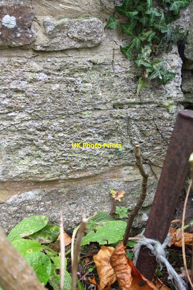 Photo 6"x4" Benchmark on The Farm house Eaton\/SP4403 c2015