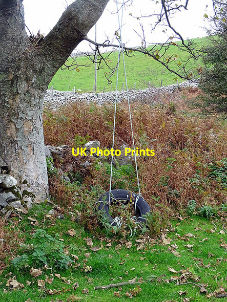 Photo 6"x4" A long abandoned child's swing at the ruined Pant-y-ffa farm Hendre\/SH5909 c2015