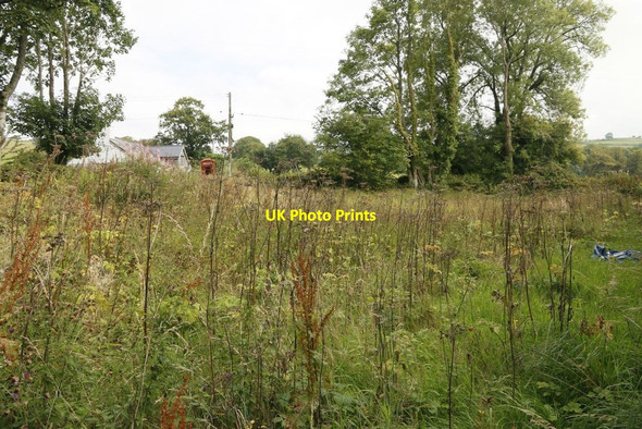 Photo 6"x4" The churchyard round the North side Llandeilo Graban c2015