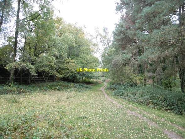Photo 6"x4" Copythorne, path Copythorne c2015
