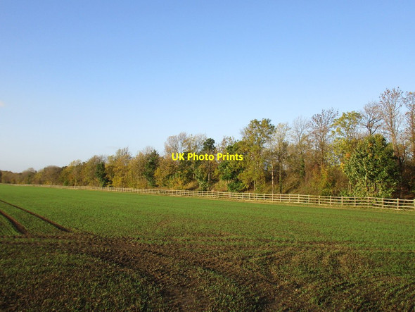 Photo 6"x4" Screening alongside the A1(M) Loversall c2015