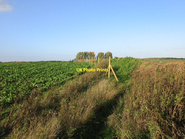 Photo 6"x4" Bridleway closed Loversall c2015