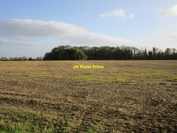 Photo 6"x4" Washing Dike Plantation Loversall c2015