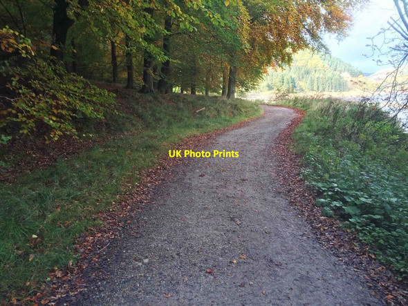 Photo 6"x4" Forest track above the southern bank of Ladybower reservoir Ashopton c2015