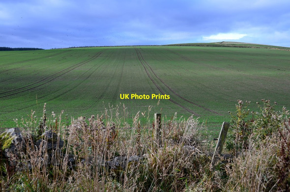 Photo 6"x4" Field on Ruther Law Falahill c2015