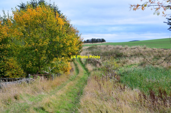 Photo 6"x4" Track at Cow Bridge Falahill c2015