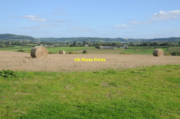 Photo 6"x4" Straw bales in a stubble field Little Bristol c2015