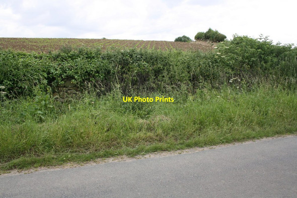 Photo 6"x4" Moor End Lane near Cote House Farm Burrill c2015