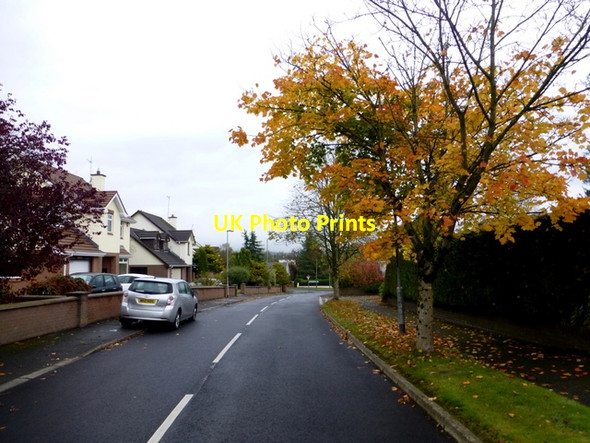 Photo 6"x4" Autumnal scene, Omagh Omagh c2015