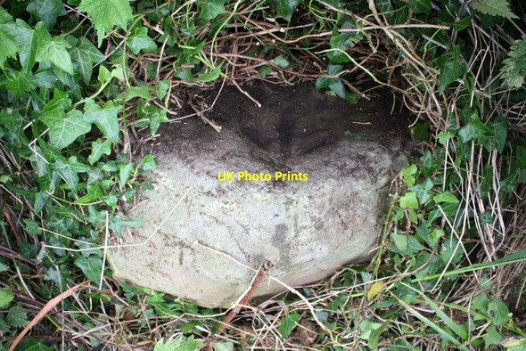 Photo 6"x4" Benchmark on stone in field beside Cowling Lane Burrill c2015
