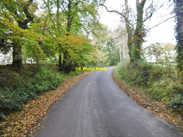 Photo 6"x4" Netley Marsh, Eadens Lane Bartley c2015