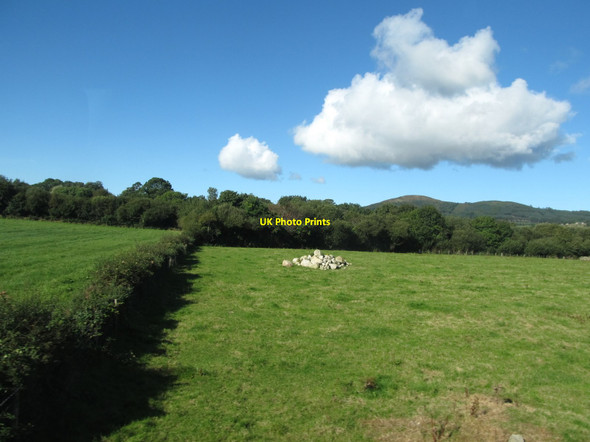 Photo 6"x4" Improved grazing land and woodland on the west side of the B27 Kilkeel c2015