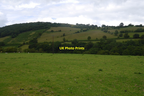 Photo 6"x4" Field beside the Teme Dutlas c2015