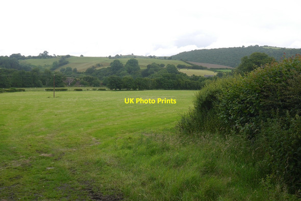 Photo 6"x4" Field below Wernygeufron Dutlas c2015