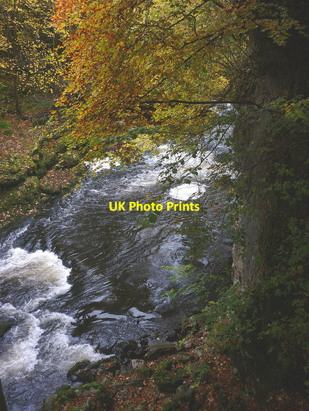 Photo 6"x4" The River Kent below Robin Hood's Island Barrows Green\/SD5288 c2015