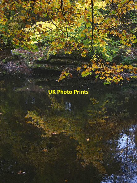Photo 6"x4" Autumn reflections in the River Kent Barrows Green\/SD5288 c2015