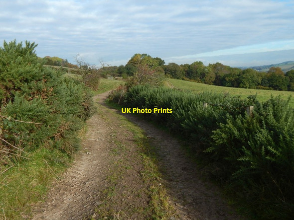 Photo 6"x4" Farm track at Nether Dalquhurn Dumbarton c2015