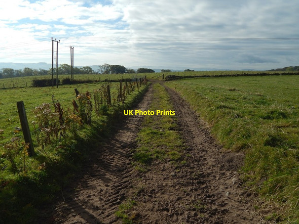 Photo 6"x4" Farm track at Nether Dalquhurn Dumbarton c2015 P1