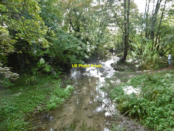 Photo 6"x4" Cerne Abbas, millstream Cerne Abbas c2015