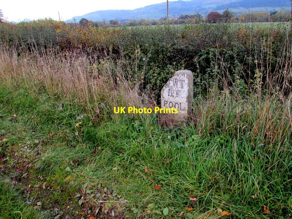 Photo 6"x4" Old milestone south of Welshpool Welshpool\/Y Trallwng c2015