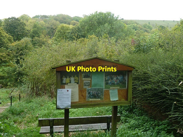 Photo 6"x4" Entrance to Reeves Orchard, Bratton Bratton\/ST9152 c2015