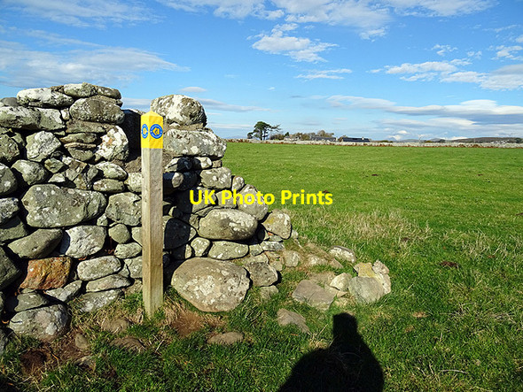 Photo 6"x4" Way marker on the Wales Coast path Llanddwywe c2015