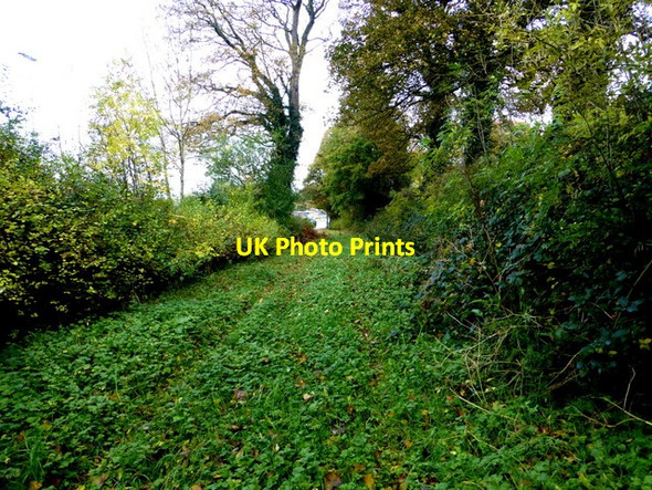 Photo 6"x4" Nature takes over, Campsie, Omagh Omagh c2015