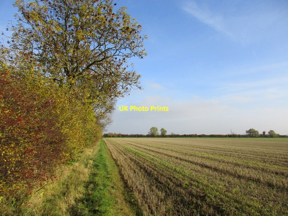 Photo 6"x4" Hedgerow and field. Leadenham Heath Leadenham c2015