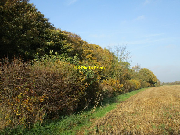 Photo 6"x4" Alongside Pottergate Road Leadenham c2015