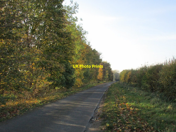 Photo 6"x4" Temple Road Welbourn c2015
